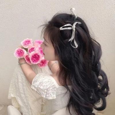 雪落时你向南飞