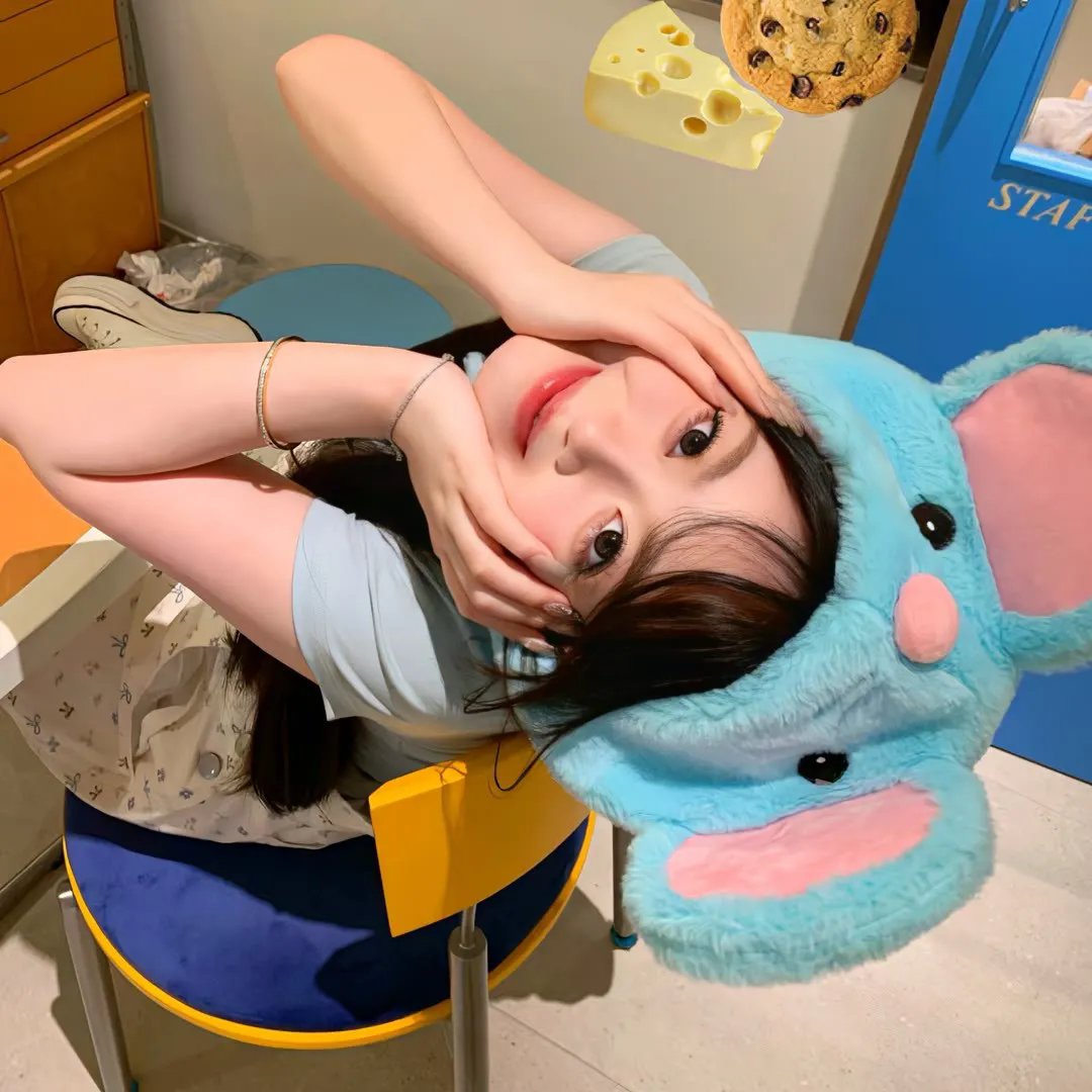 如果历史是一群喵第二季